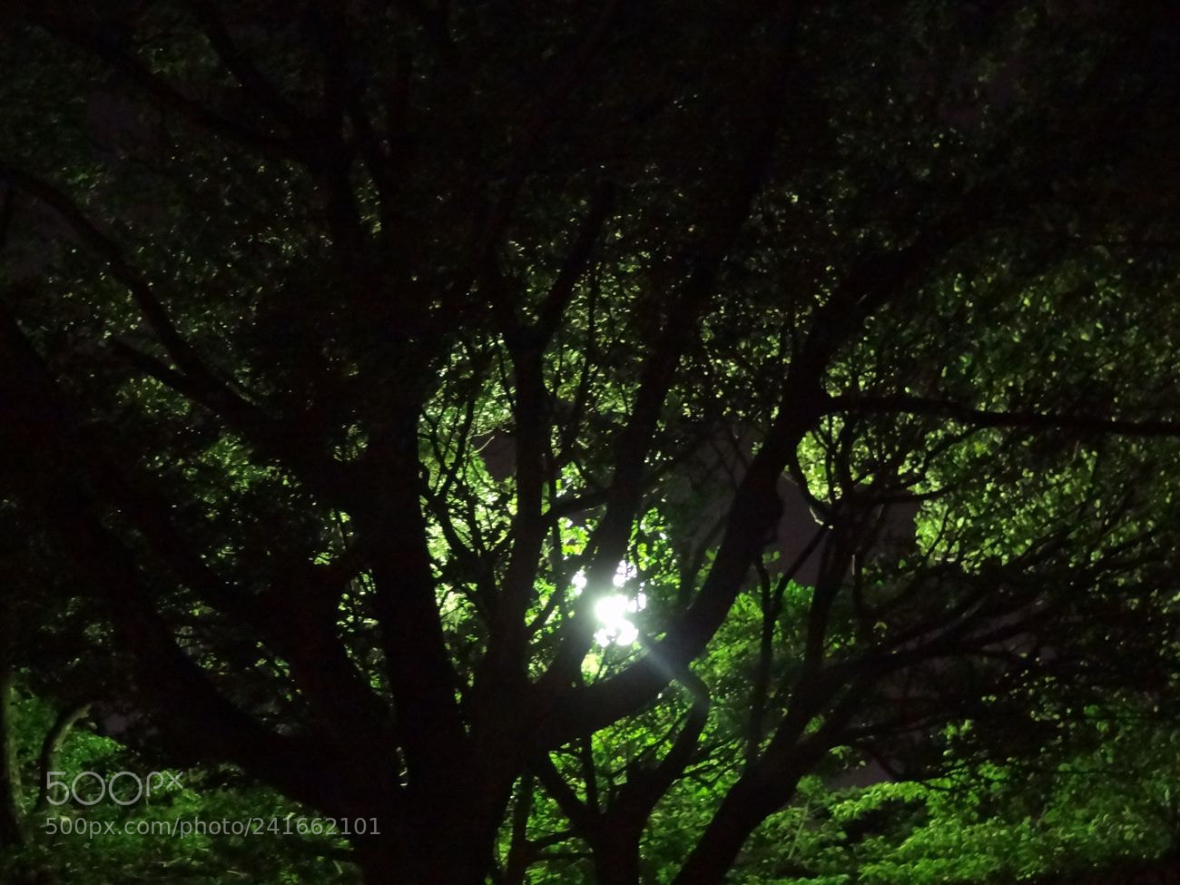 Sony Cyber-shot DSC-HX9V sample photo. Dsc photography