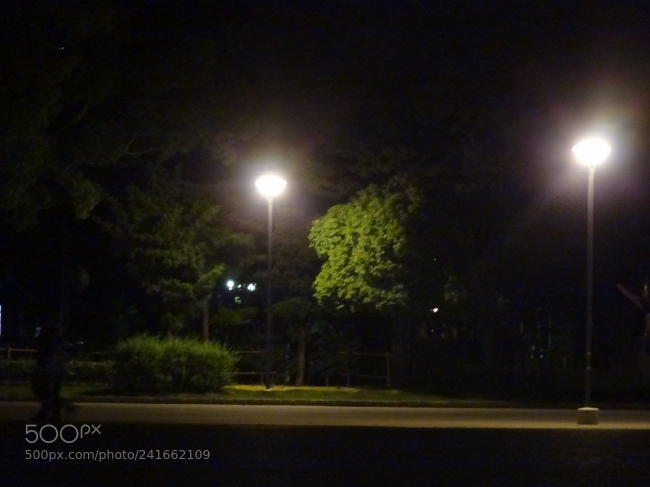 Sony Cyber-shot DSC-HX9V sample photo. Dsc photography