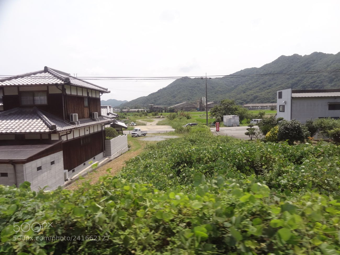 Sony Cyber-shot DSC-HX9V sample photo. Dsc photography