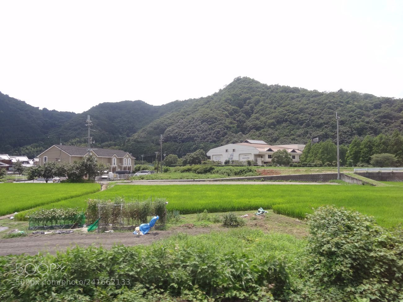 Sony Cyber-shot DSC-HX9V sample photo. Dsc photography
