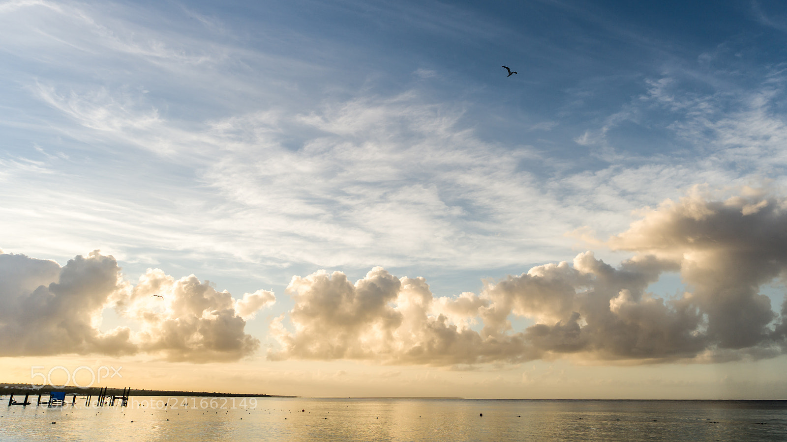 Sony a7 II sample photo. Flying on a chubby photography