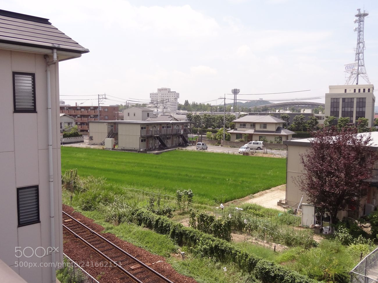 Sony Cyber-shot DSC-HX9V sample photo. Dsc photography