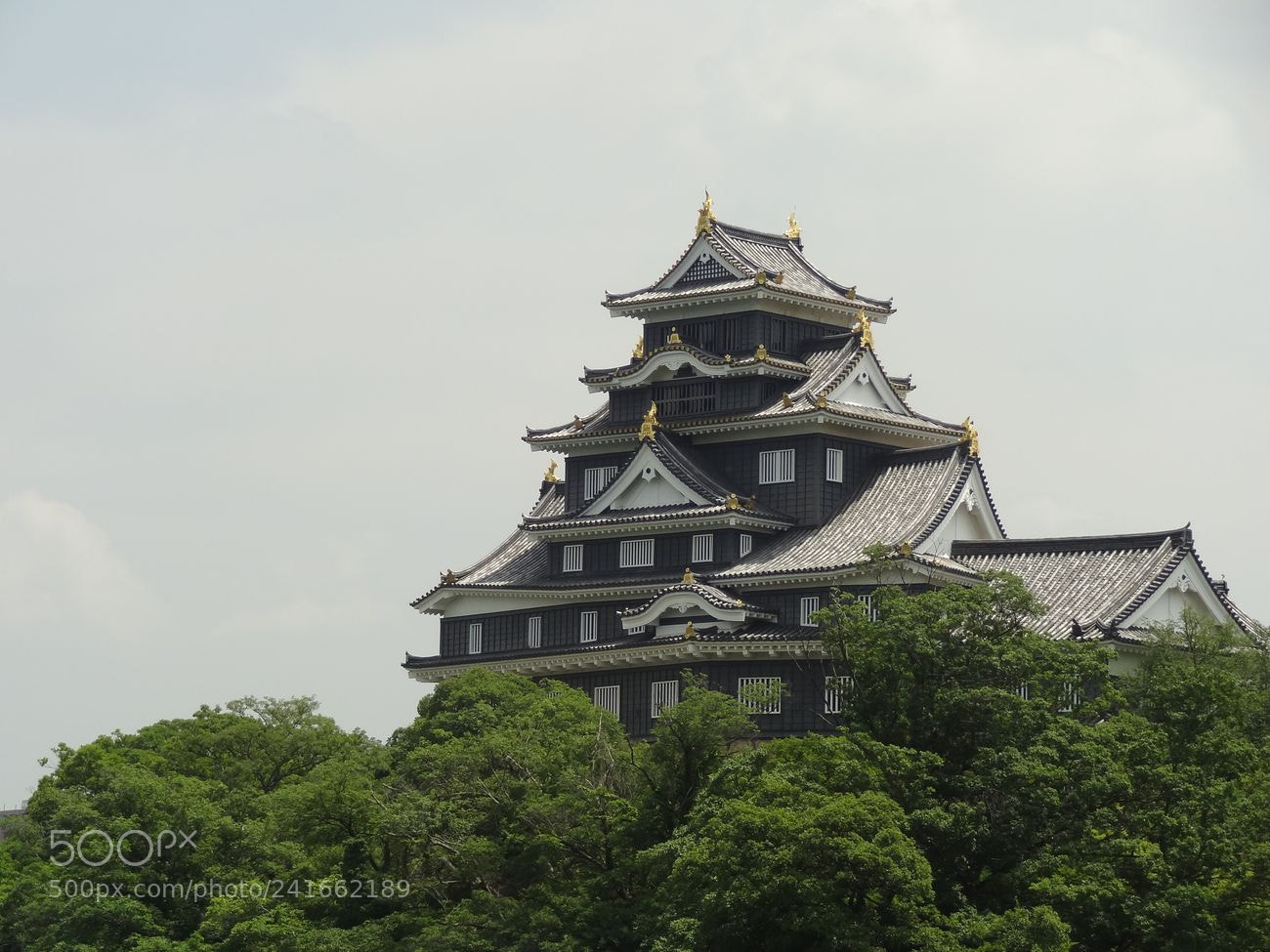 Sony Cyber-shot DSC-HX9V sample photo. Dsc photography