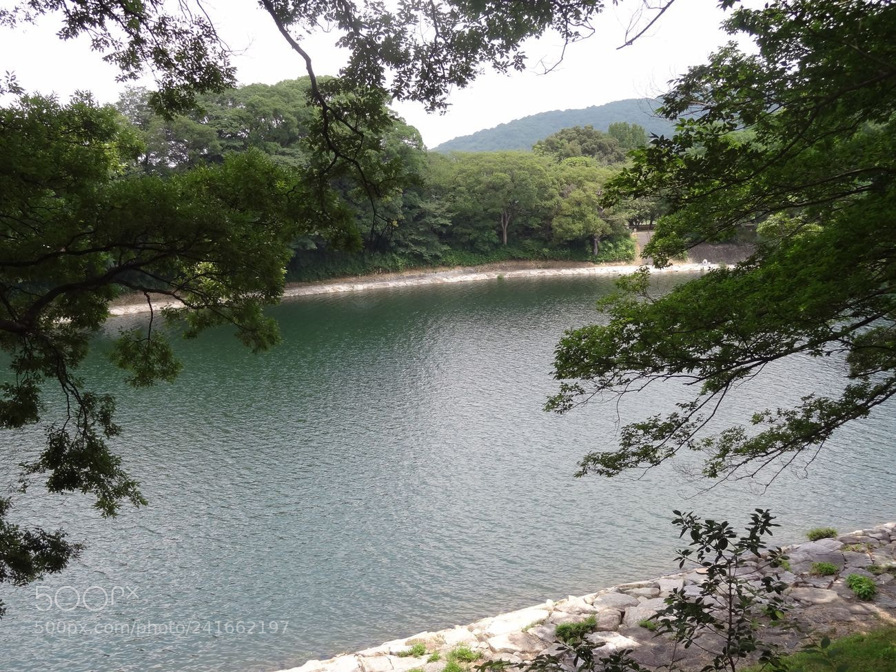 Sony Cyber-shot DSC-HX9V sample photo. Dsc photography