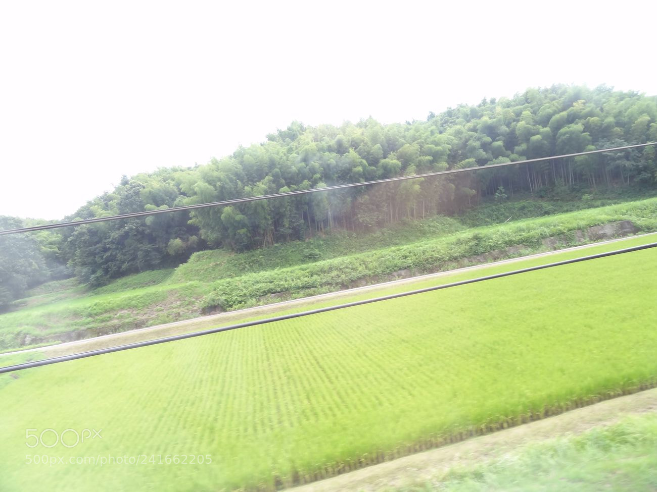Sony Cyber-shot DSC-HX9V sample photo. Dsc photography