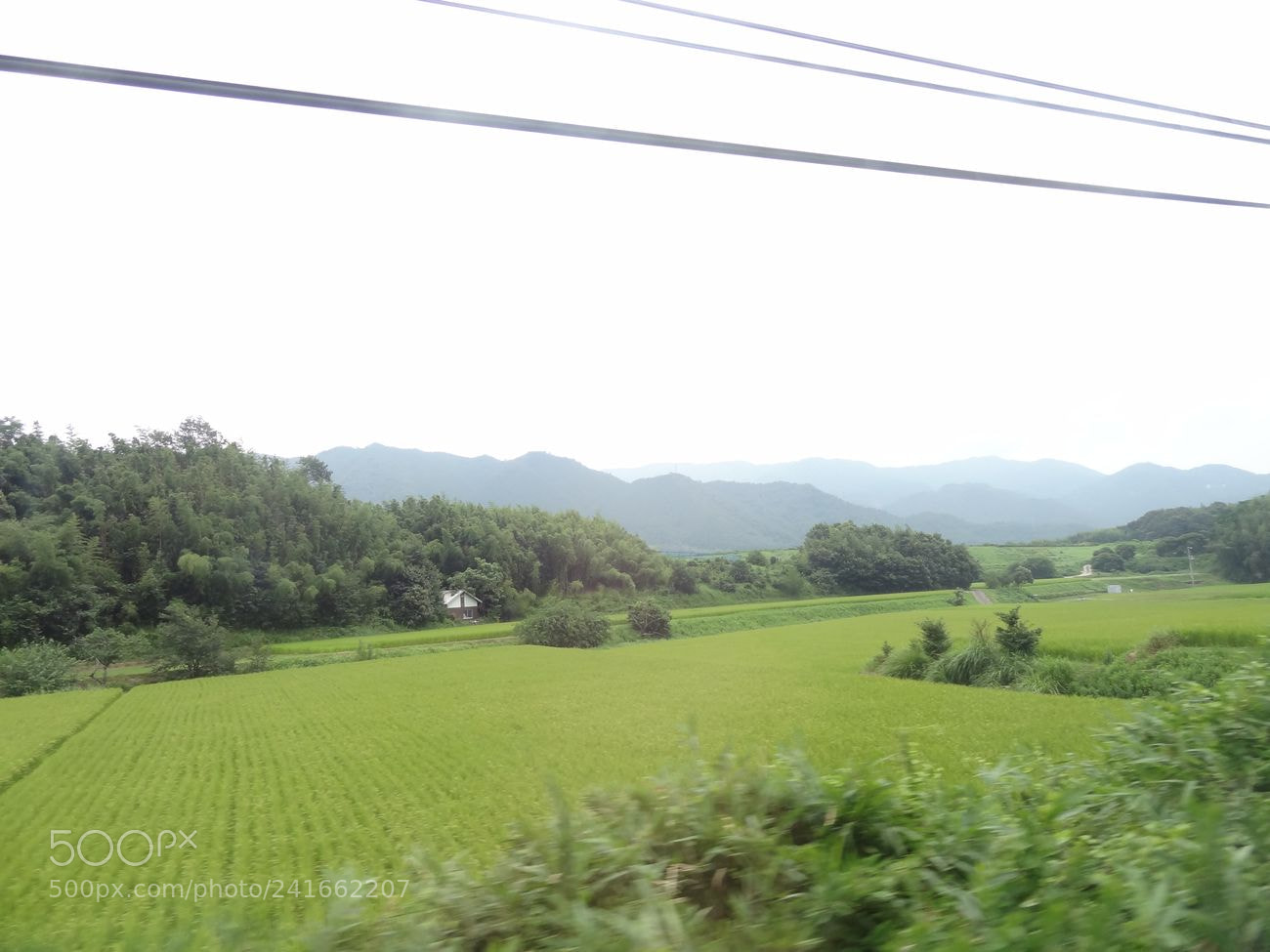 Sony Cyber-shot DSC-HX9V sample photo. Dsc photography