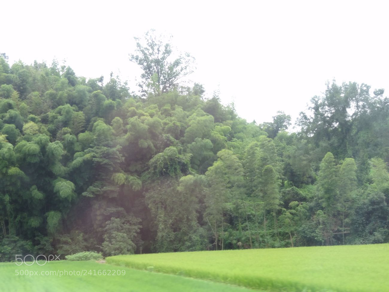 Sony Cyber-shot DSC-HX9V sample photo. Dsc photography