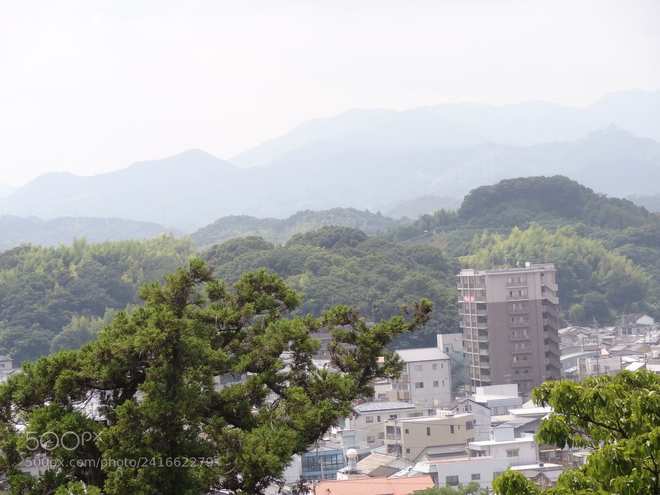 Sony Cyber-shot DSC-HX9V sample photo. Dsc photography