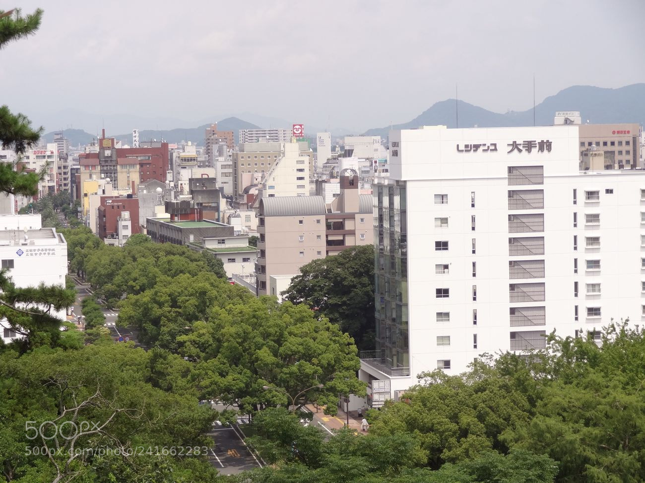 Sony Cyber-shot DSC-HX9V sample photo. Dsc photography