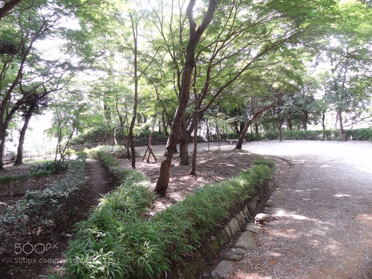 Sony Cyber-shot DSC-HX9V sample photo. Dsc photography