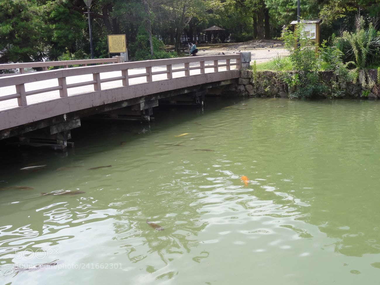 Sony Cyber-shot DSC-HX9V sample photo. Dsc photography