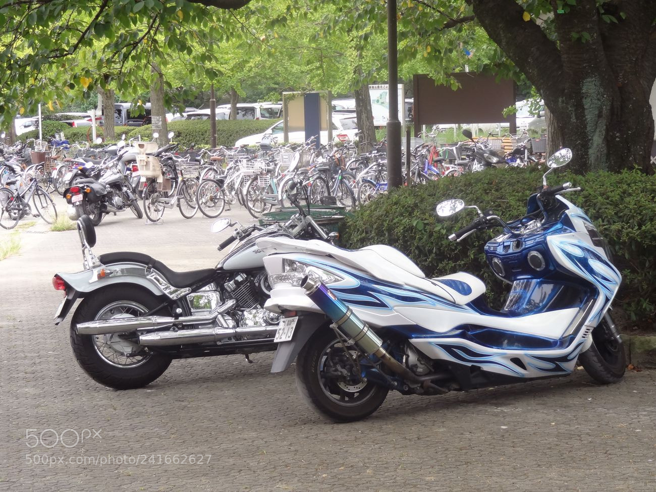Sony Cyber-shot DSC-HX9V sample photo. Dsc photography