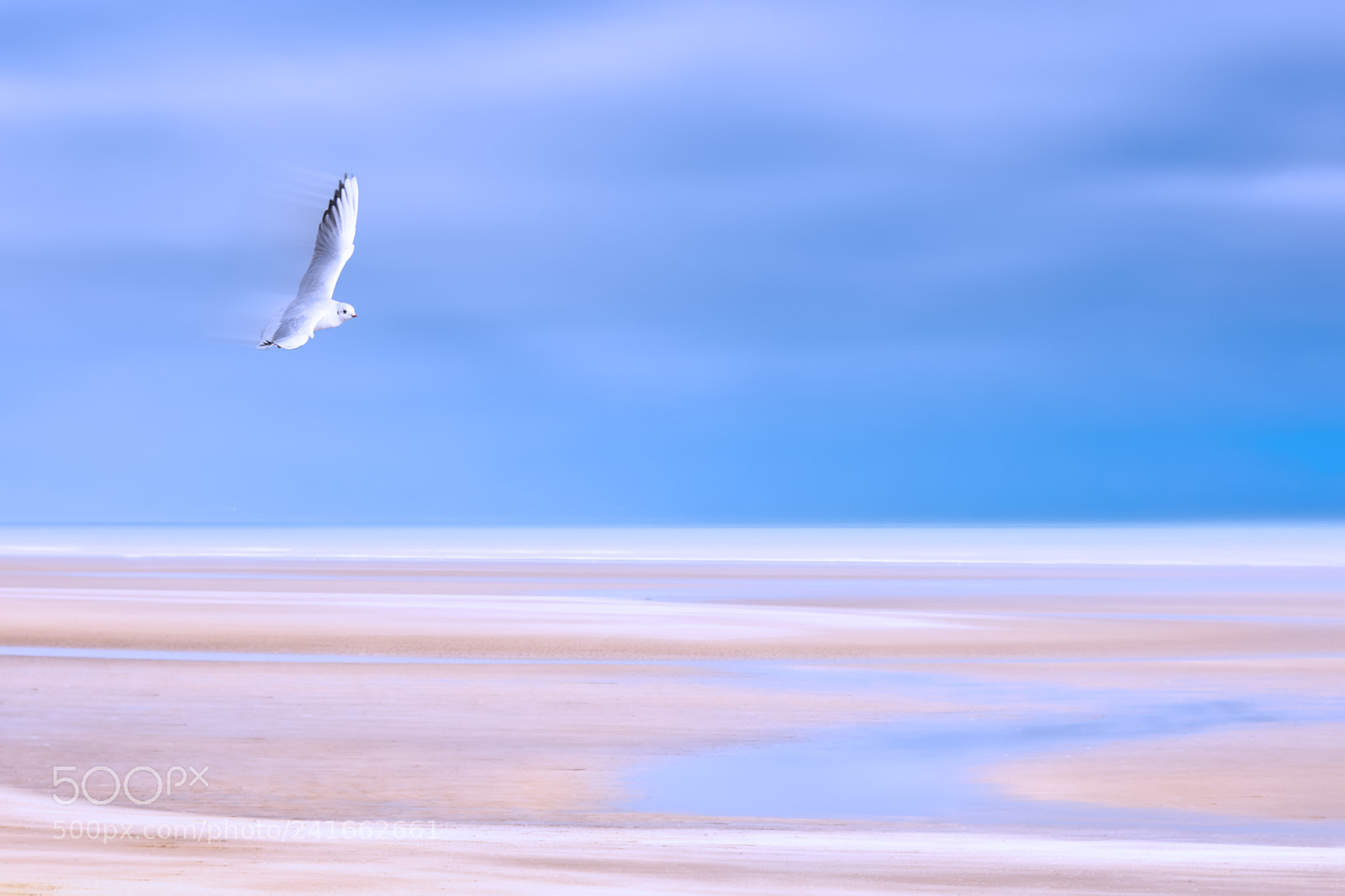 Canon EOS-1D Mark III sample photo. If i was a photography