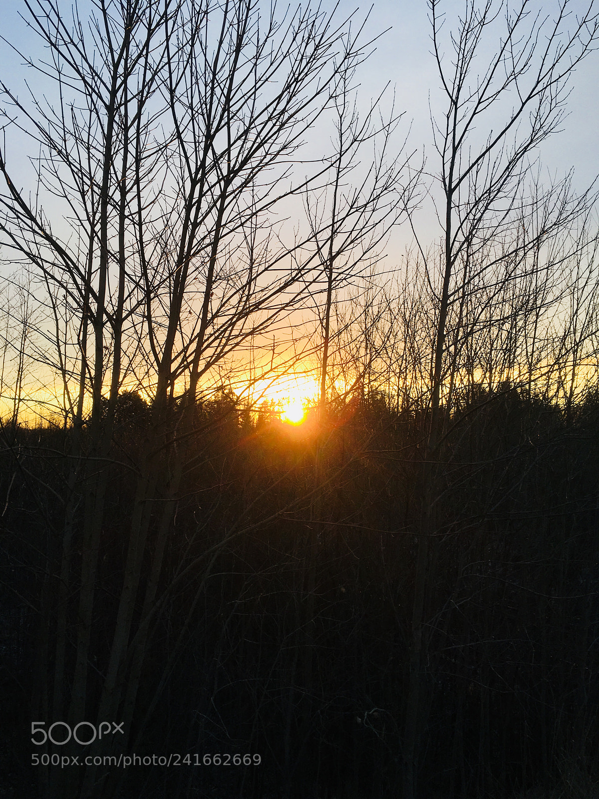 Apple iPhone 6s sample photo. Orange sunset photography