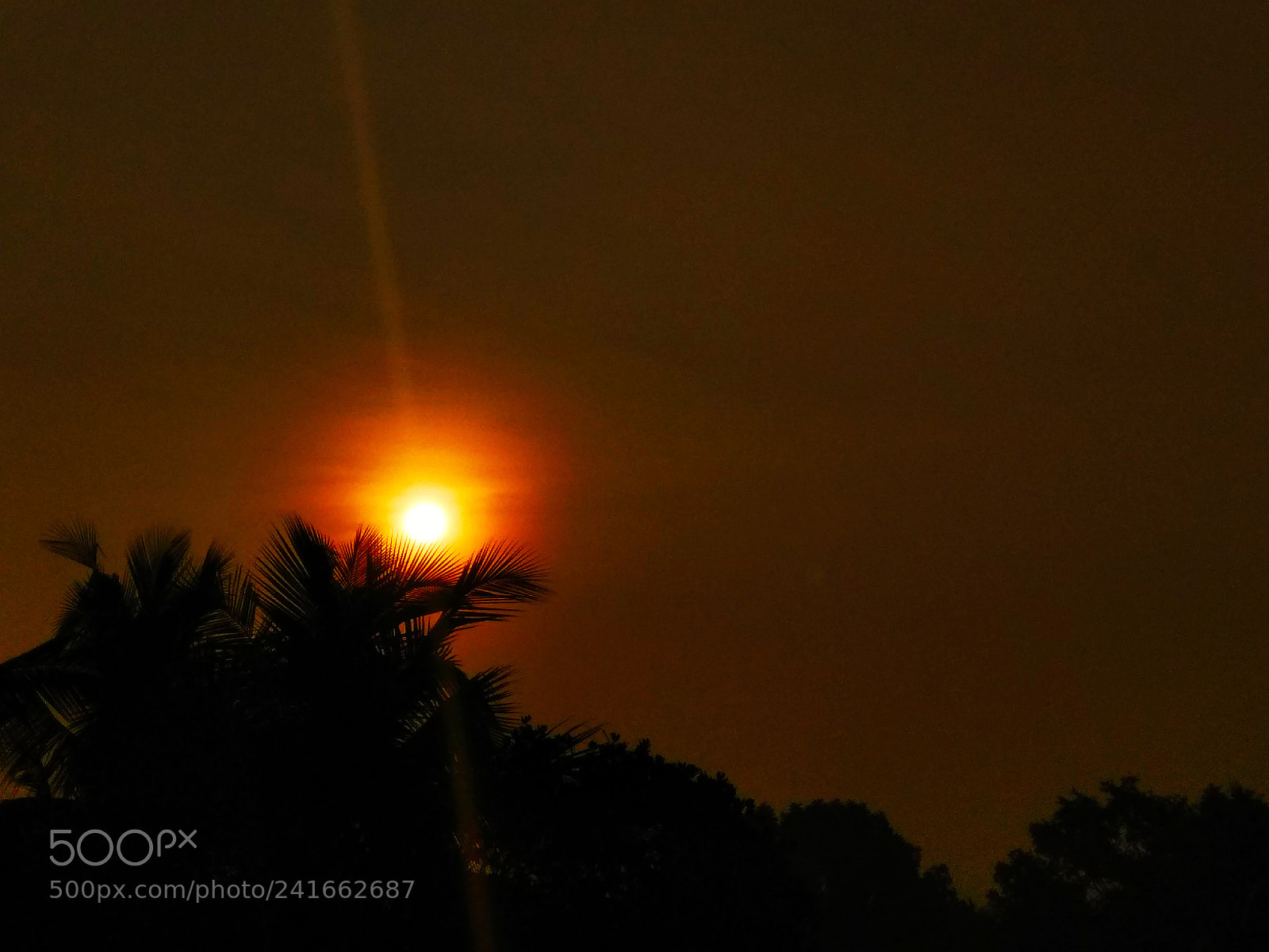 Xiaomi Redmi Note 4 sample photo. Sun light photography