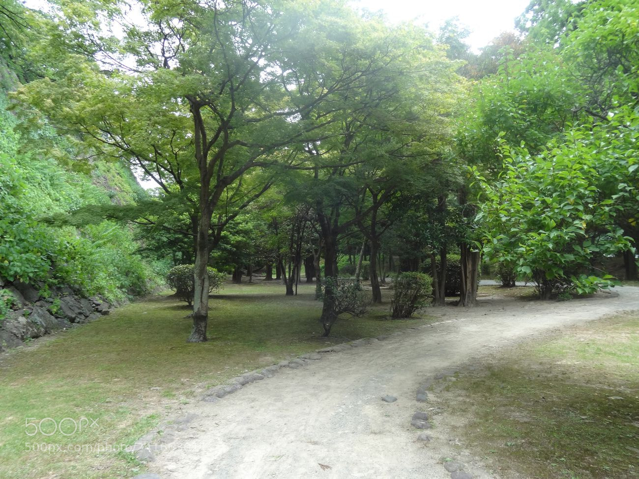 Sony Cyber-shot DSC-HX9V sample photo. Dsc photography
