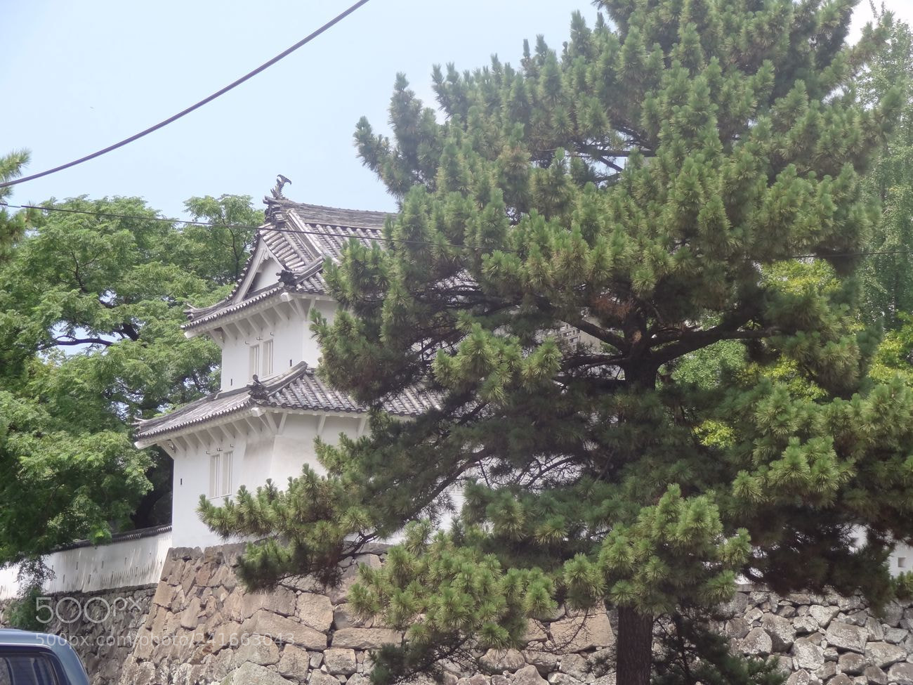 Sony Cyber-shot DSC-HX9V sample photo. Dsc photography
