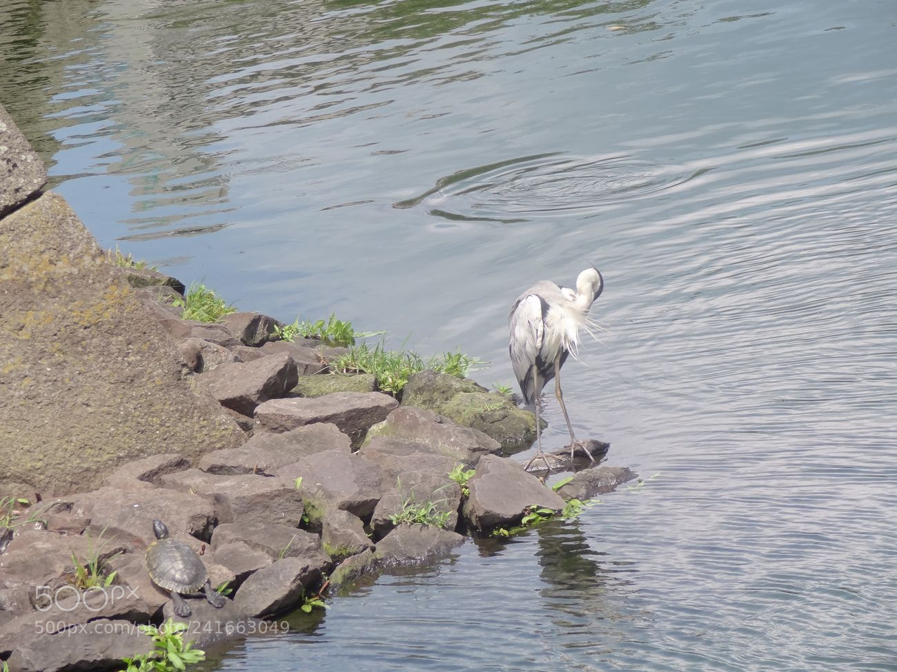 Sony Cyber-shot DSC-HX9V sample photo. Dsc photography