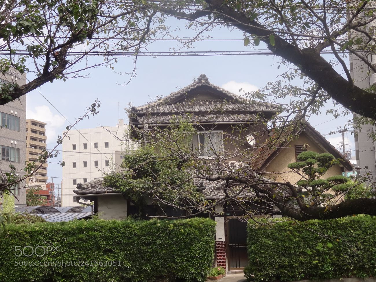 Sony Cyber-shot DSC-HX9V sample photo. Dsc photography