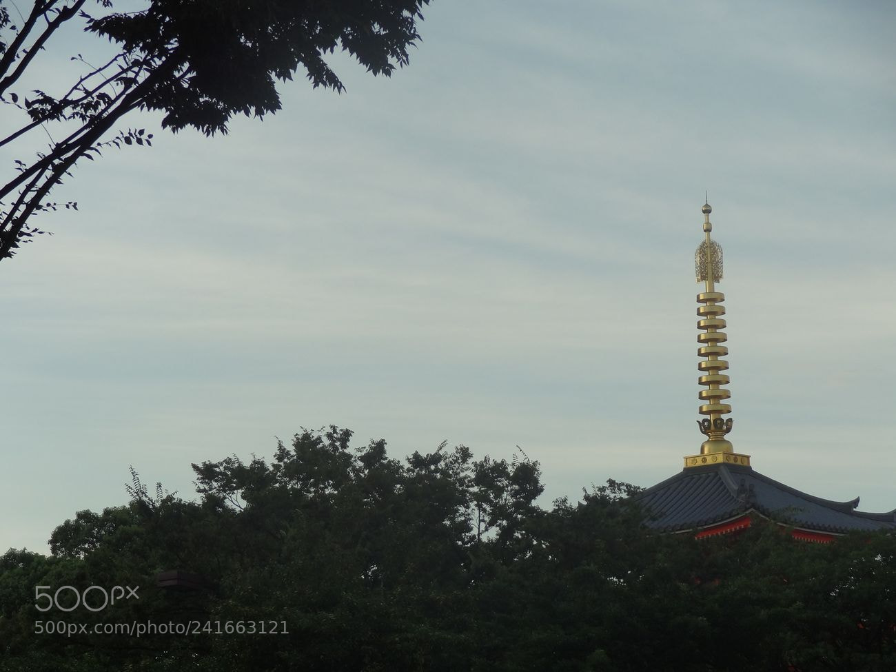 Sony Cyber-shot DSC-HX9V sample photo. Dsc photography