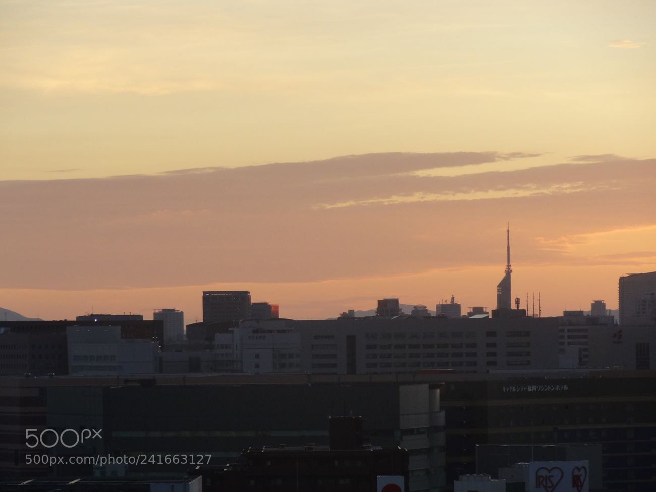 Sony Cyber-shot DSC-HX9V sample photo. Dsc photography