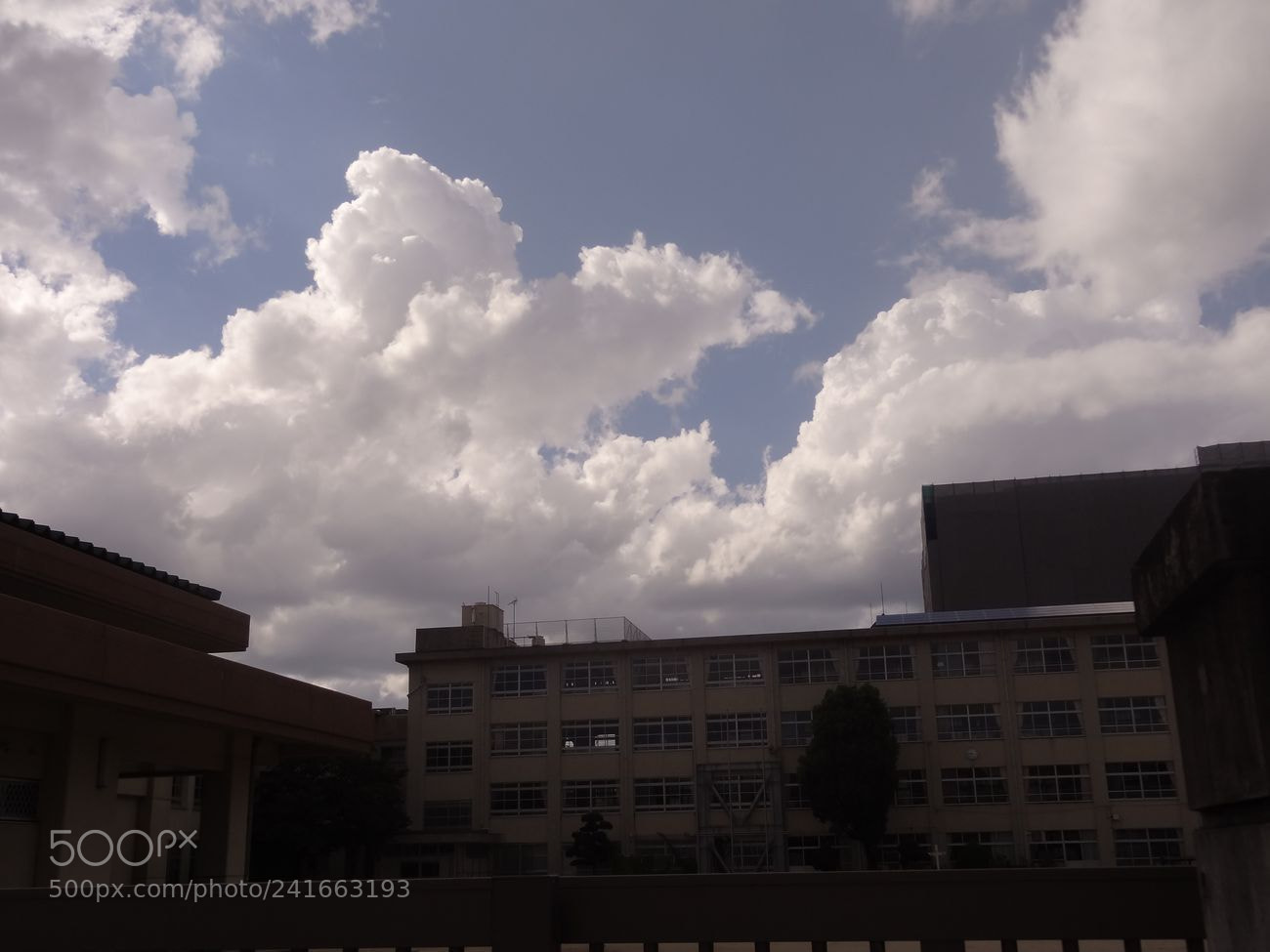 Sony Cyber-shot DSC-HX9V sample photo. Dsc photography