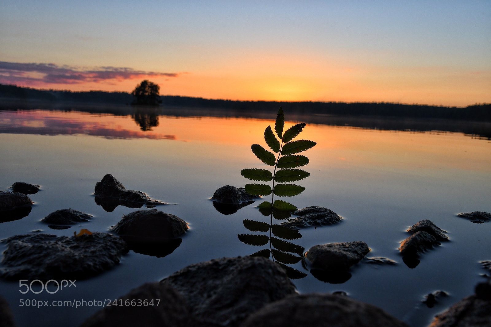 Nikon D500 sample photo. Beautiful nature photography
