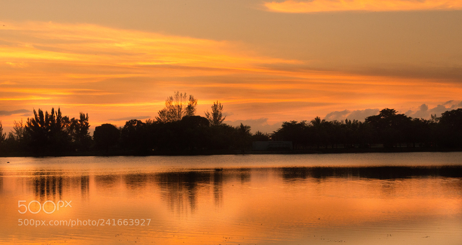 Nikon D800 sample photo. Sunset at amelia hialeah photography