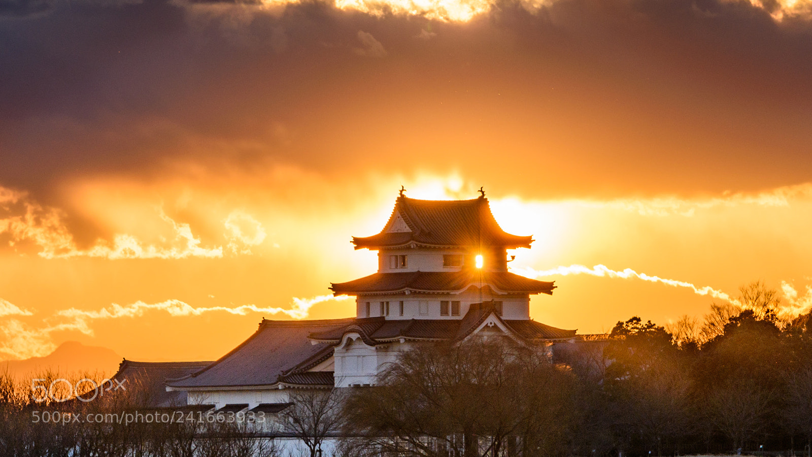Nikon D810 sample photo. Shining castle photography