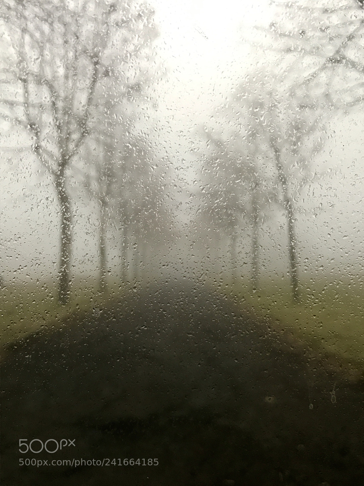 Apple iPhone 7 sample photo. Foggy photography