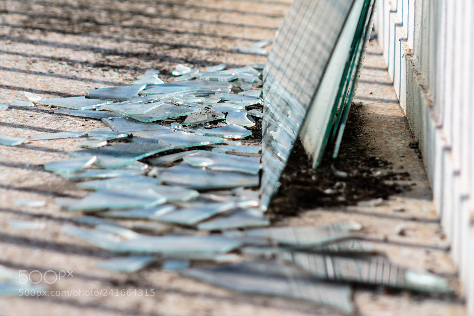 Canon EOS 1100D (EOS Rebel T3 / EOS Kiss X50) sample photo. Shattered reflections photography