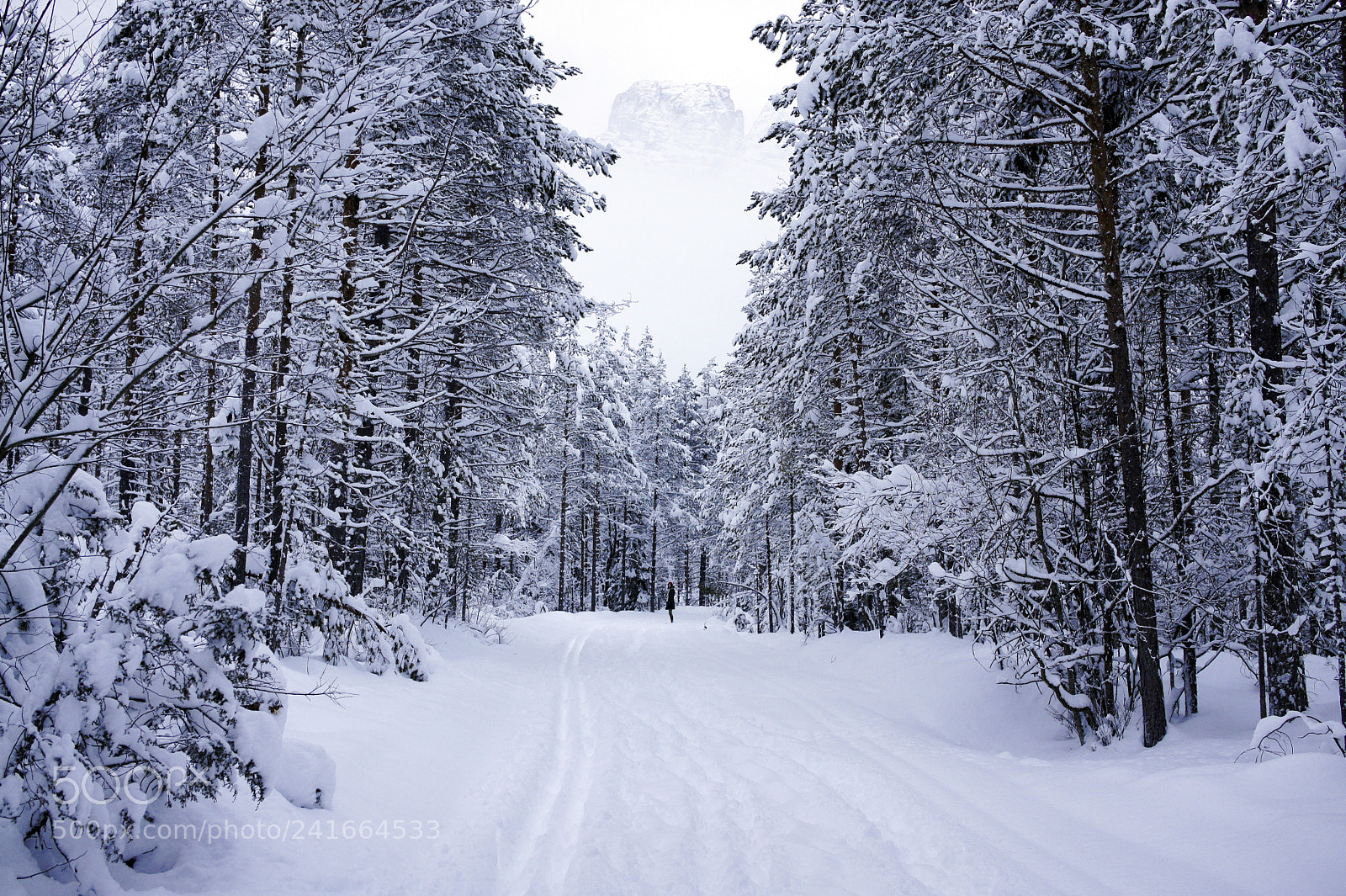 Sony Alpha NEX-5 sample photo. Snow photography