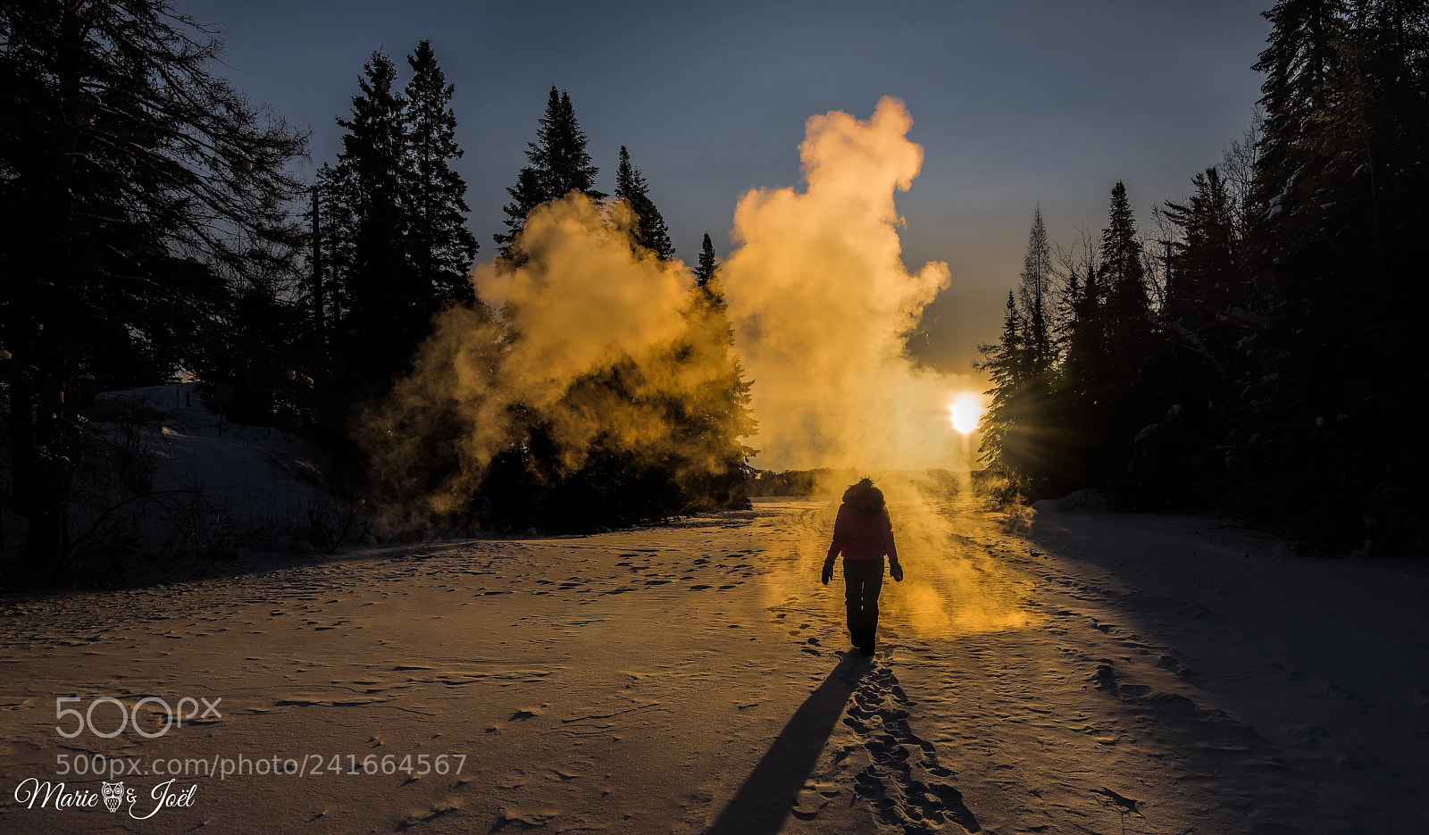 Nikon D810 sample photo. Le froid photography