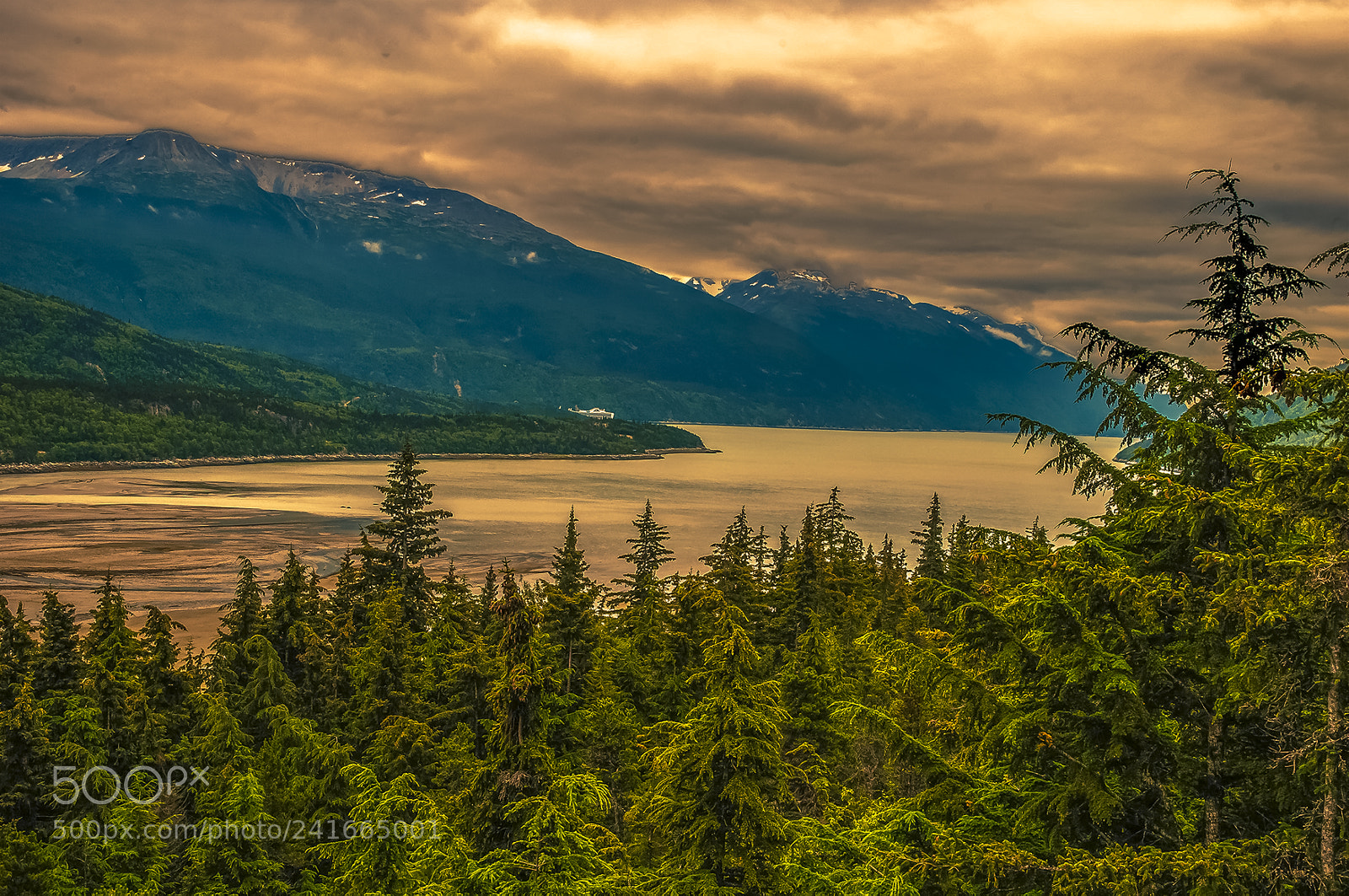 Nikon D300 sample photo. Skagway view photography