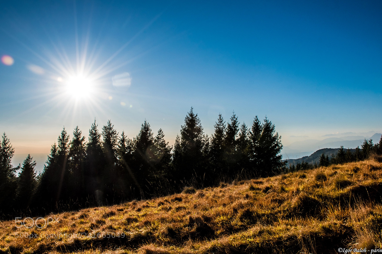 Nikon D5500 sample photo. Nice sunny photography
