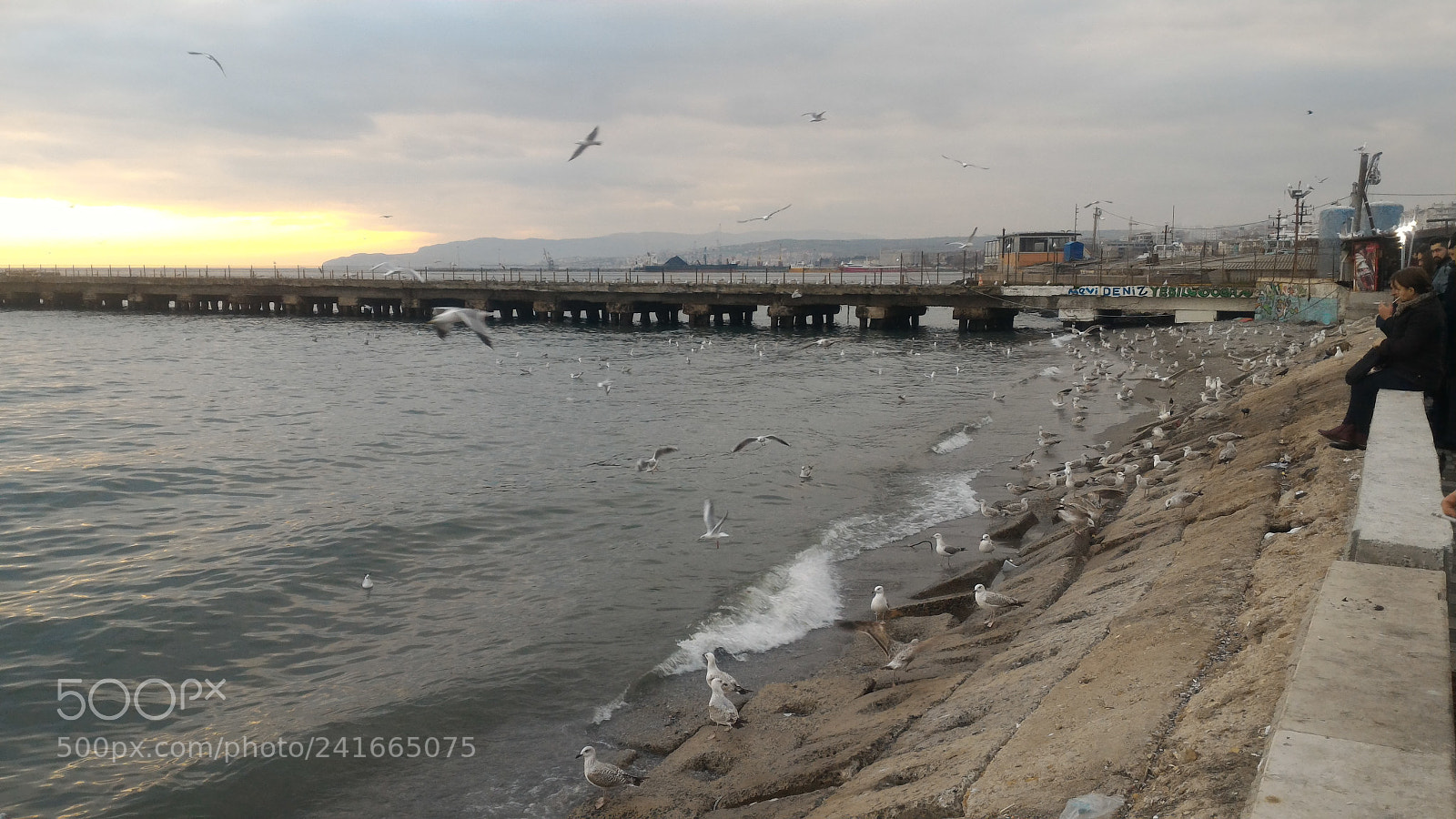 ASUS ZenFone 2 (ZE551ML) sample photo. Untitled photography
