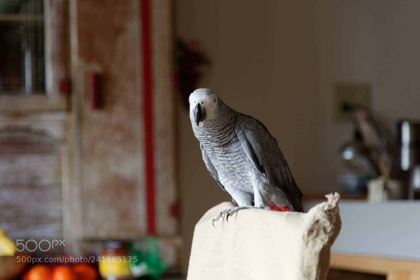Nikon AF-S Nikkor 24-120mm F4G ED VR sample photo. Happy new year to photography