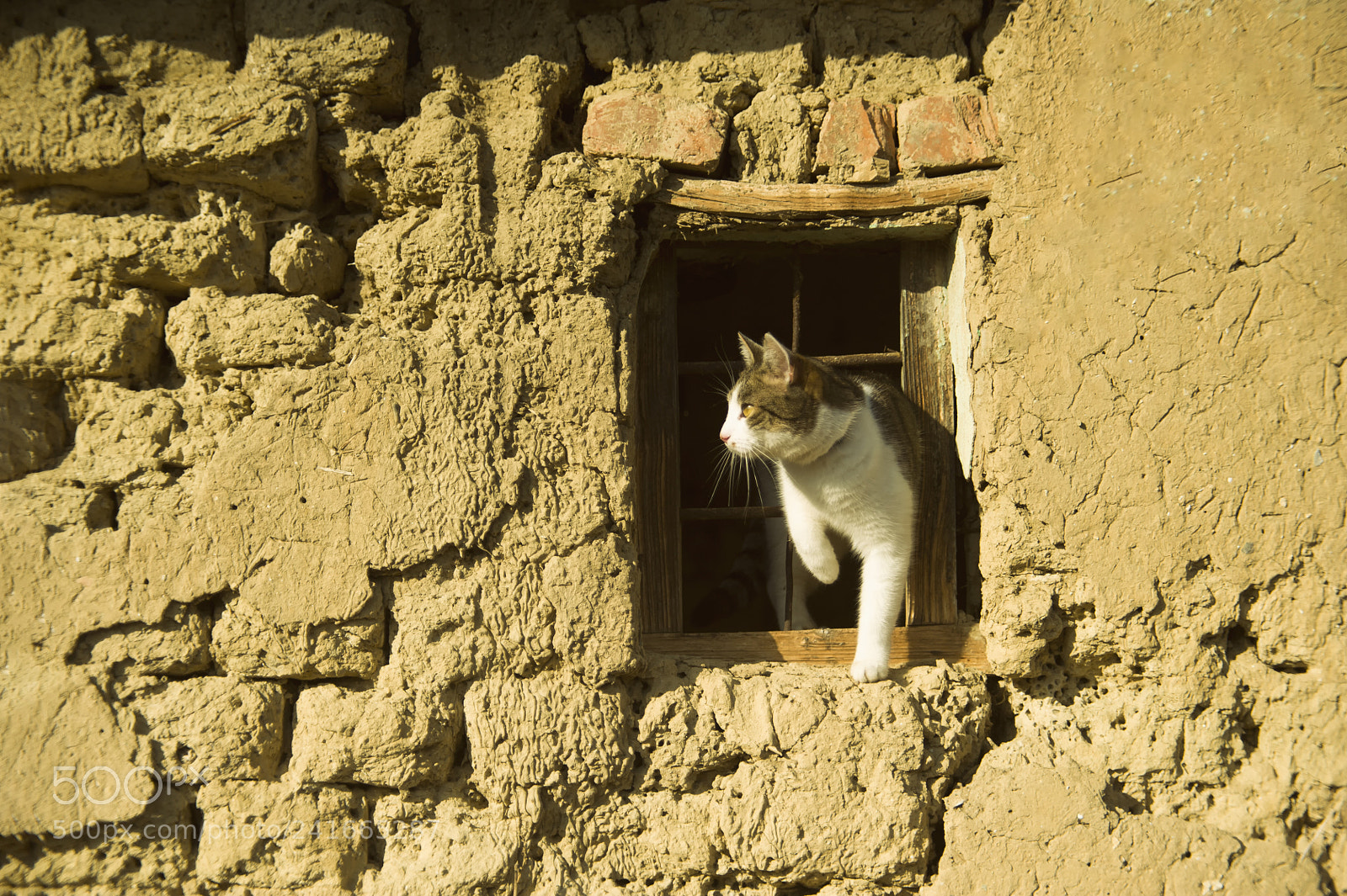 Nikon D700 sample photo. Mediterran frame photography