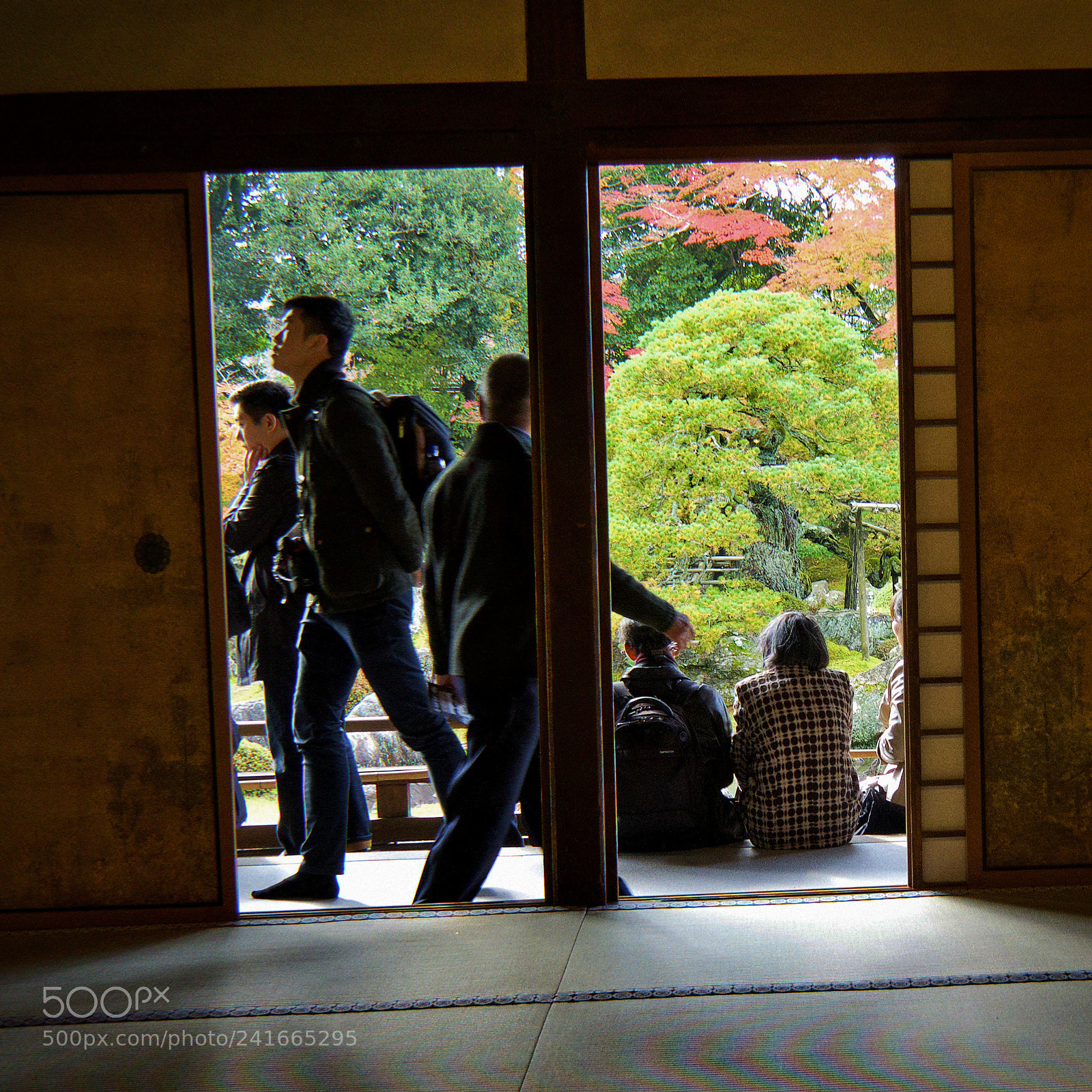 Olympus OM-D E-M5 II sample photo. 京都醍醐寺　kyoto | daigoji photography