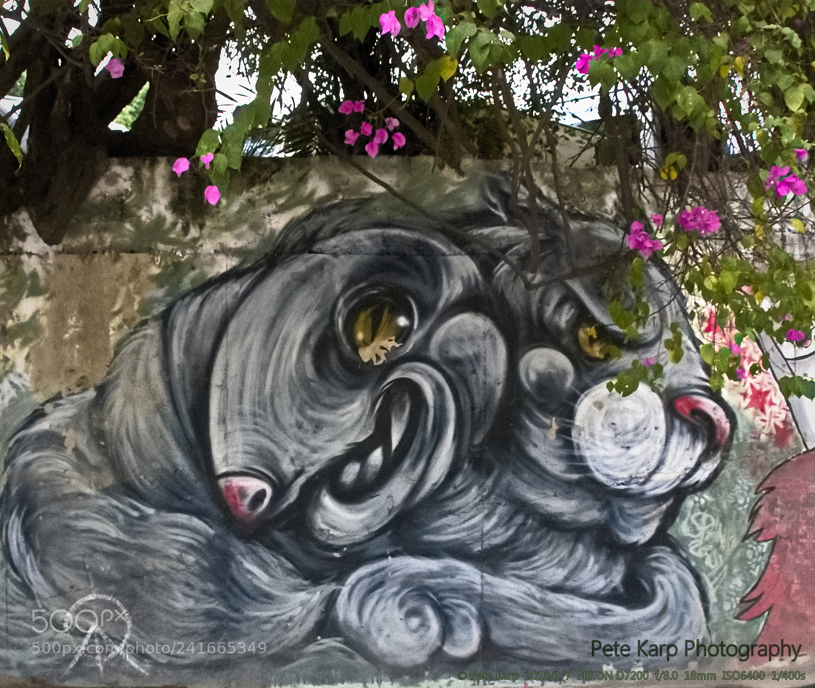 Nikon D7200 sample photo. Street art near huaykaew photography