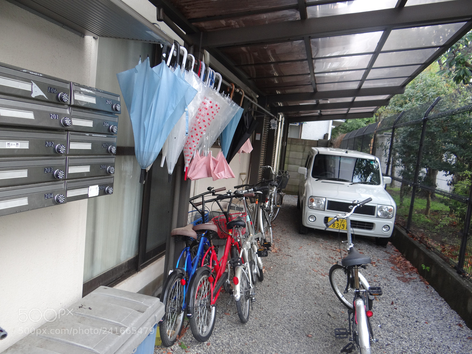Sony DSC-HX200V sample photo. Dsc photography