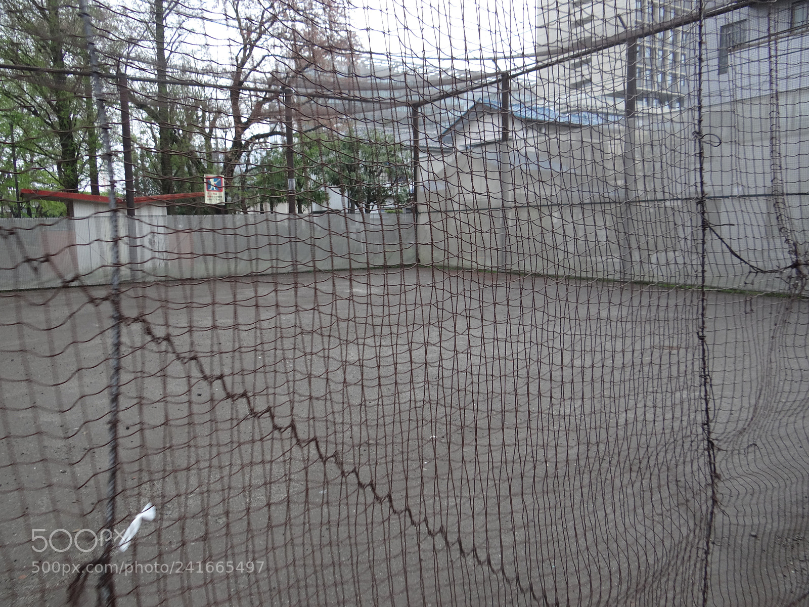 Sony DSC-HX200V sample photo. Dsc photography