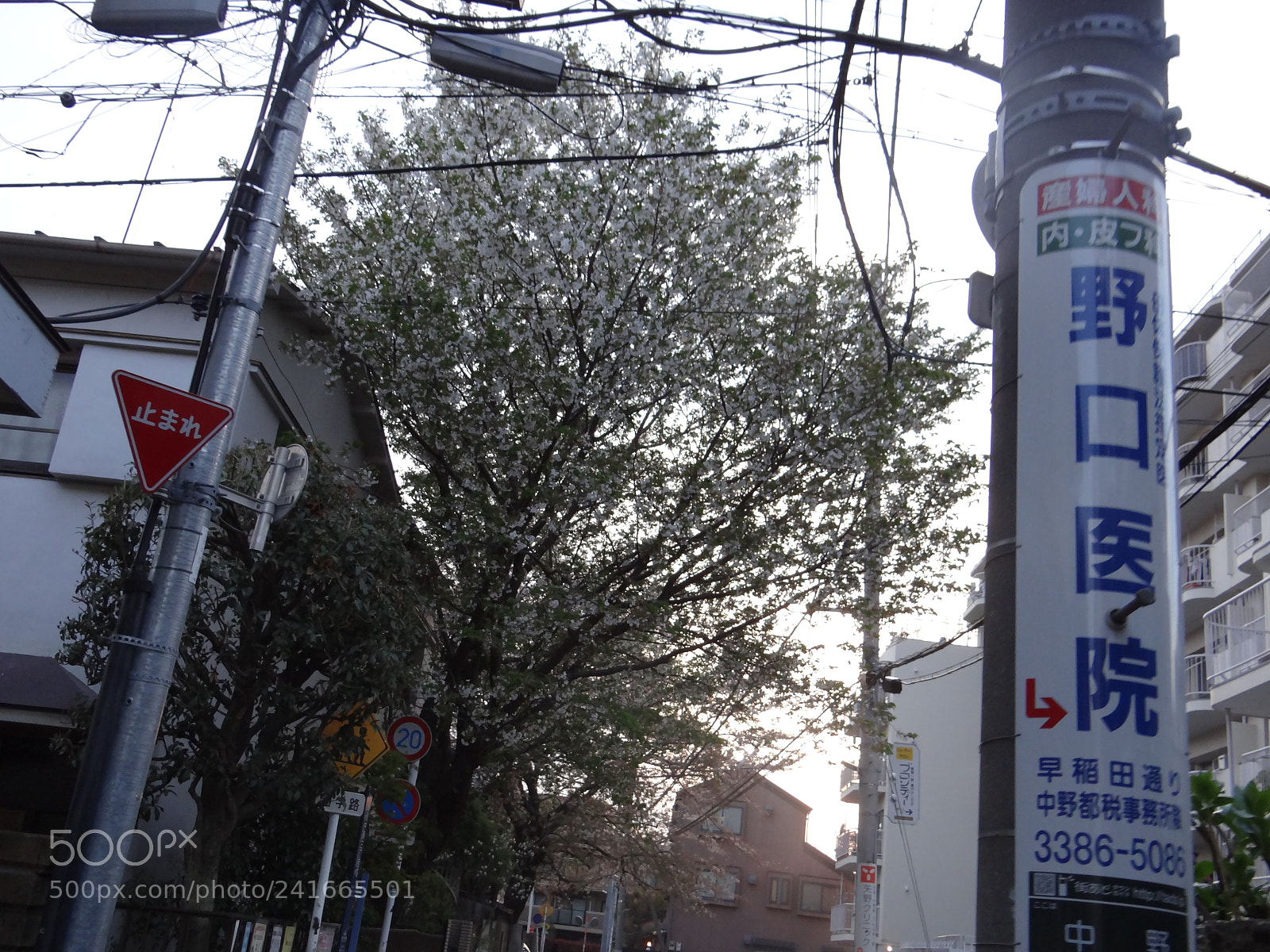 Sony DSC-HX200V sample photo. Dsc photography