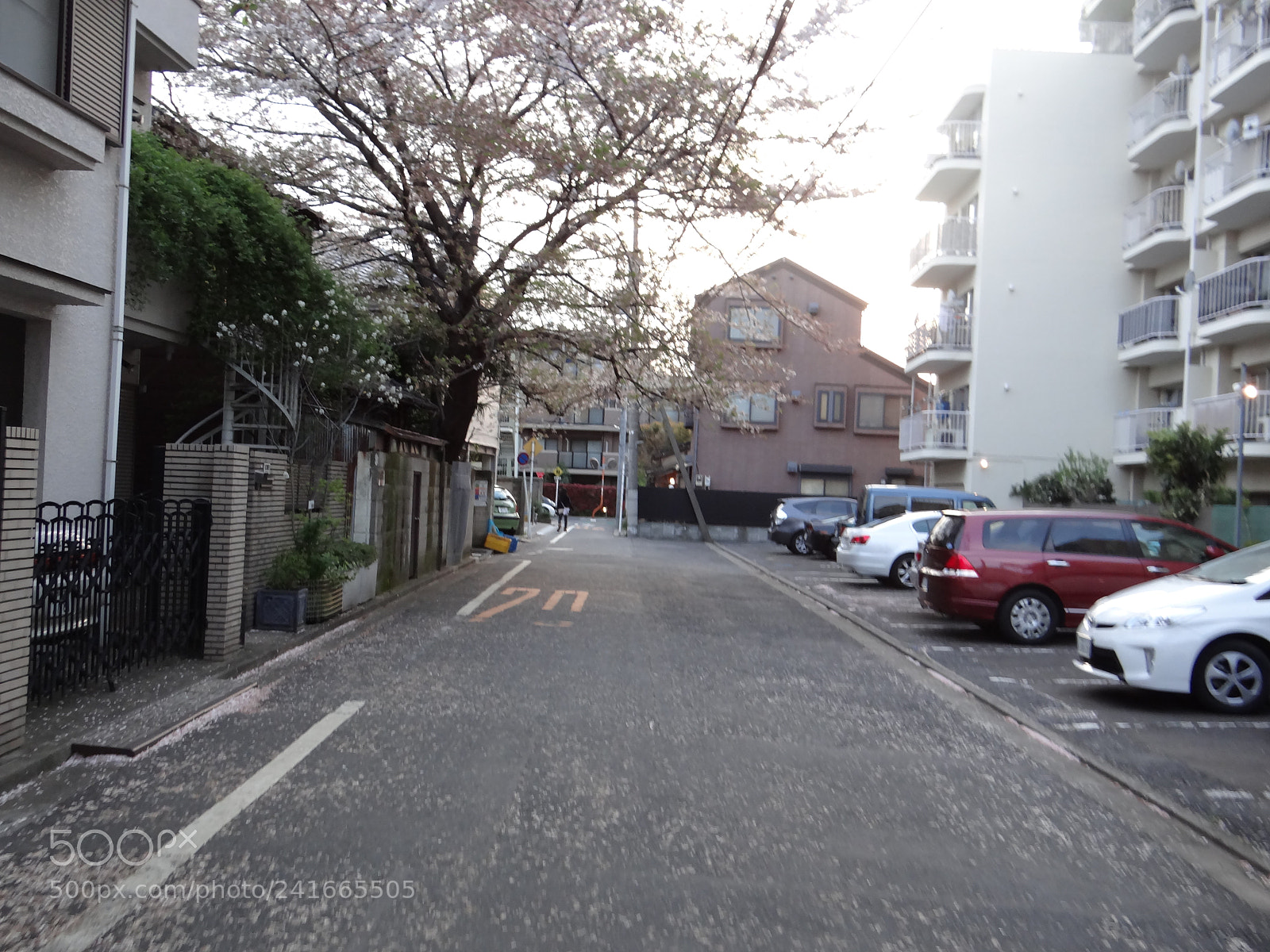 Sony DSC-HX200V sample photo. Dsc photography