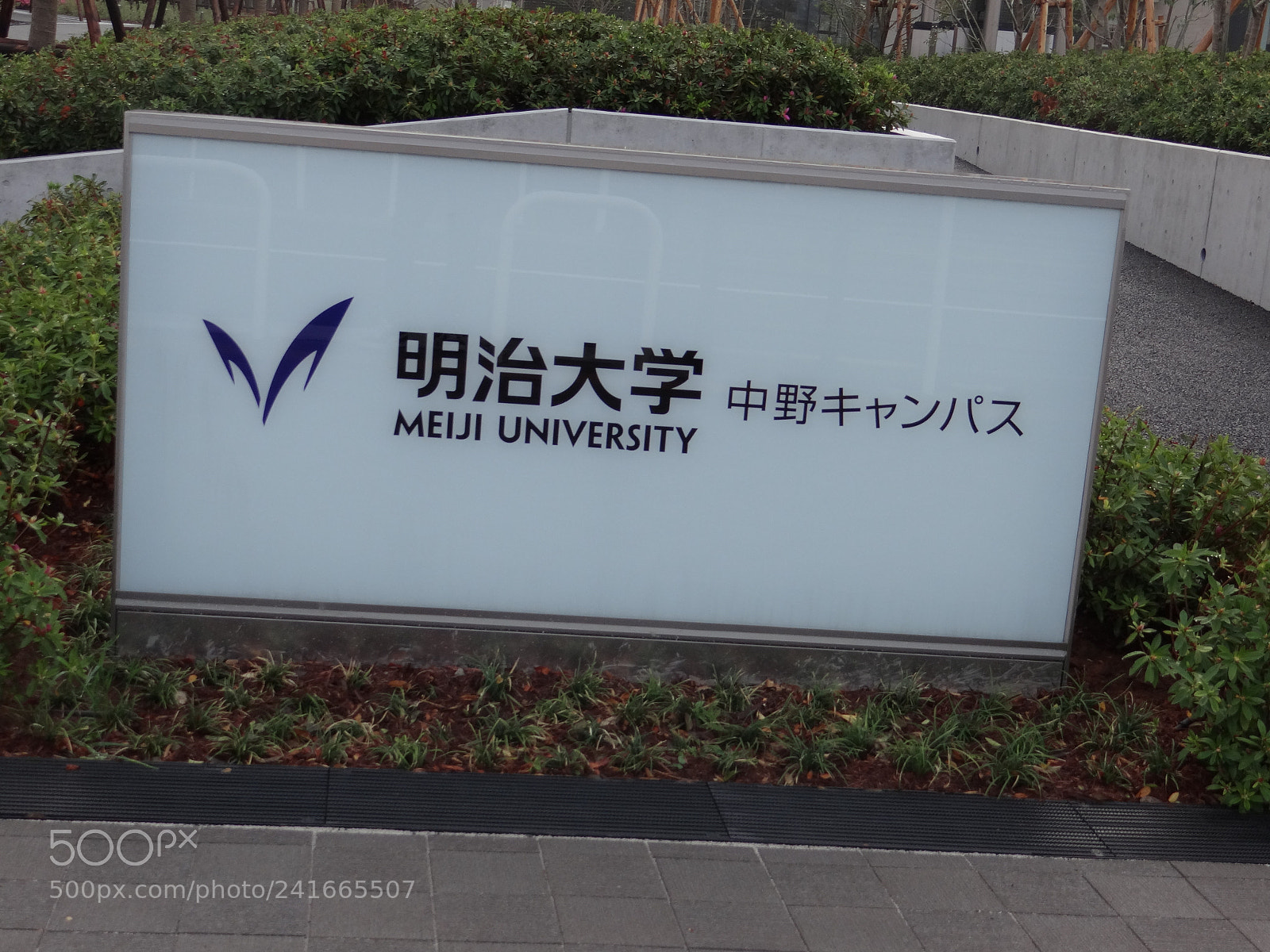 Sony DSC-HX200V sample photo. Dsc photography