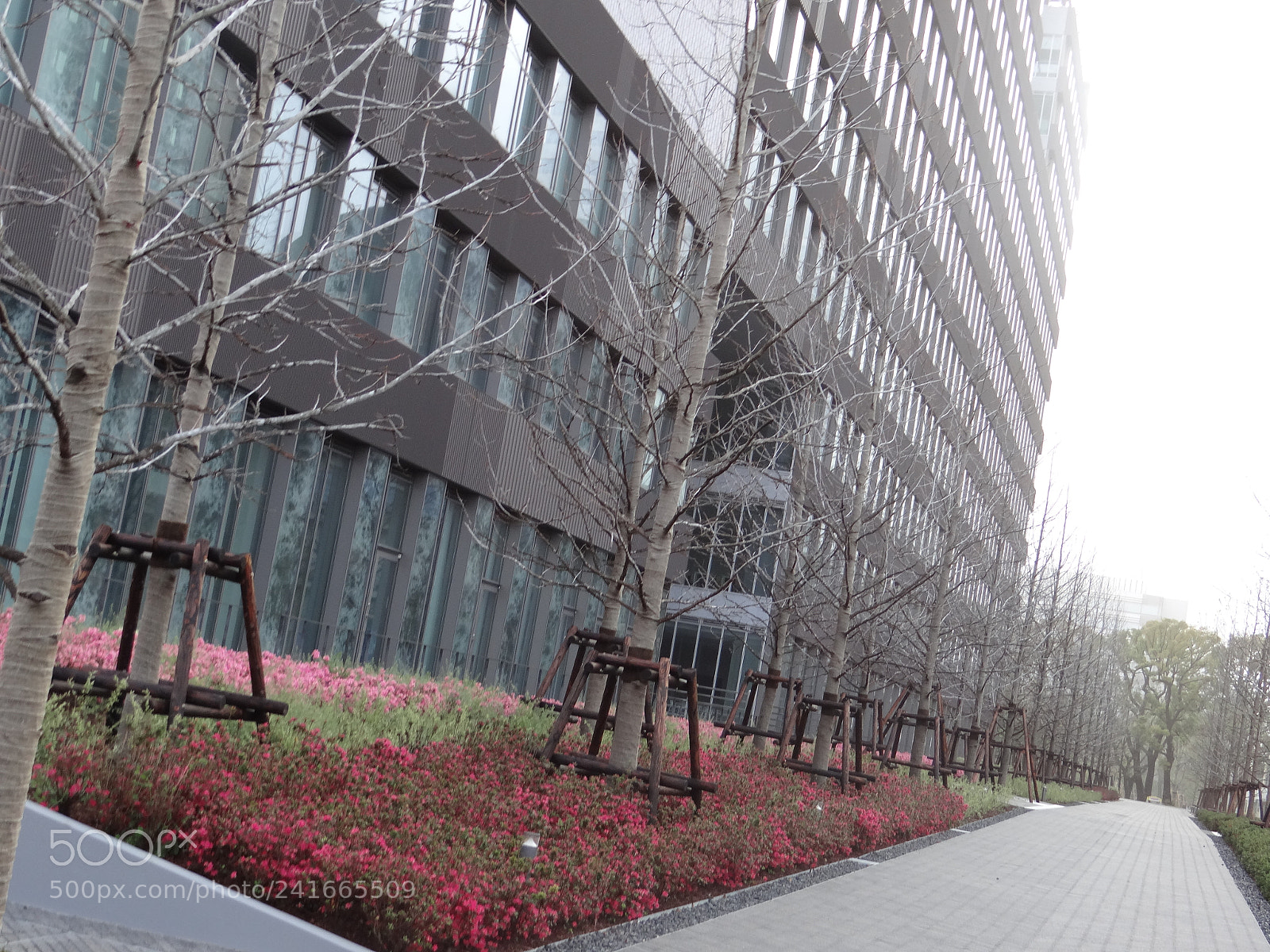 Sony DSC-HX200V sample photo. Dsc photography