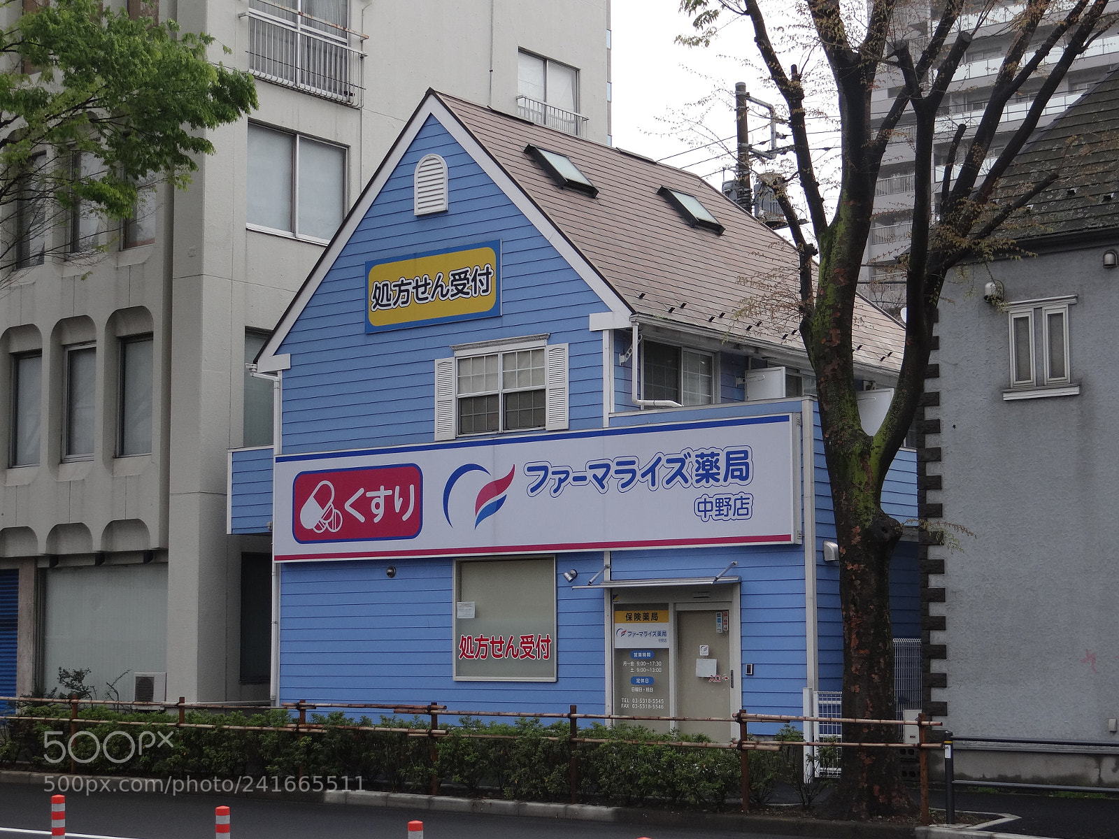 Sony DSC-HX200V sample photo. Dsc photography