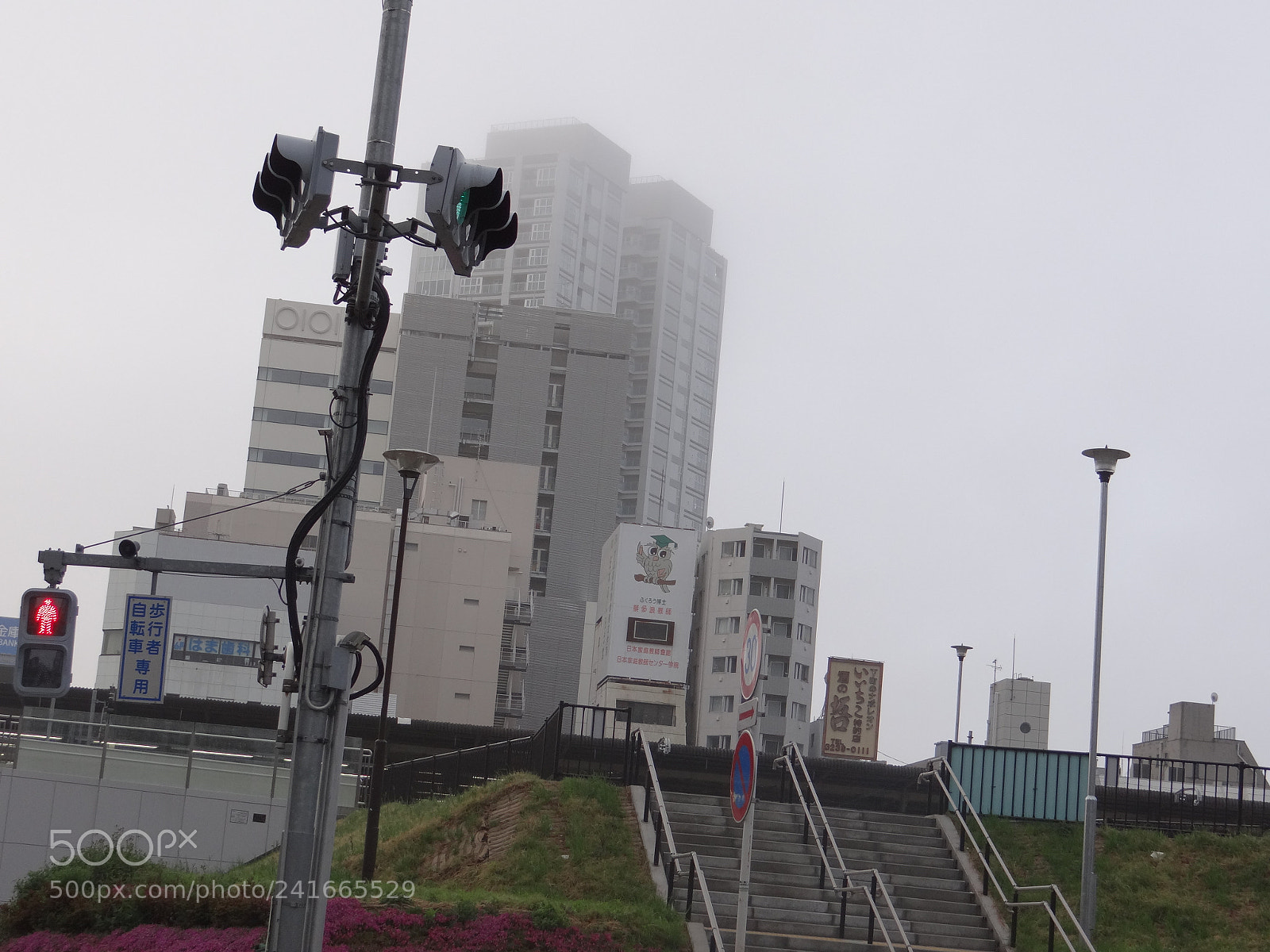 Sony DSC-HX200V sample photo. Dsc photography