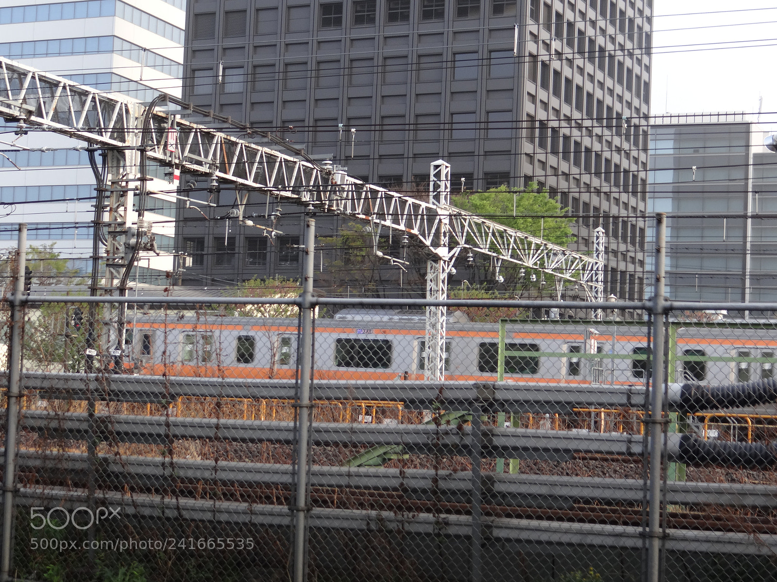 Sony DSC-HX200V sample photo. Dsc photography