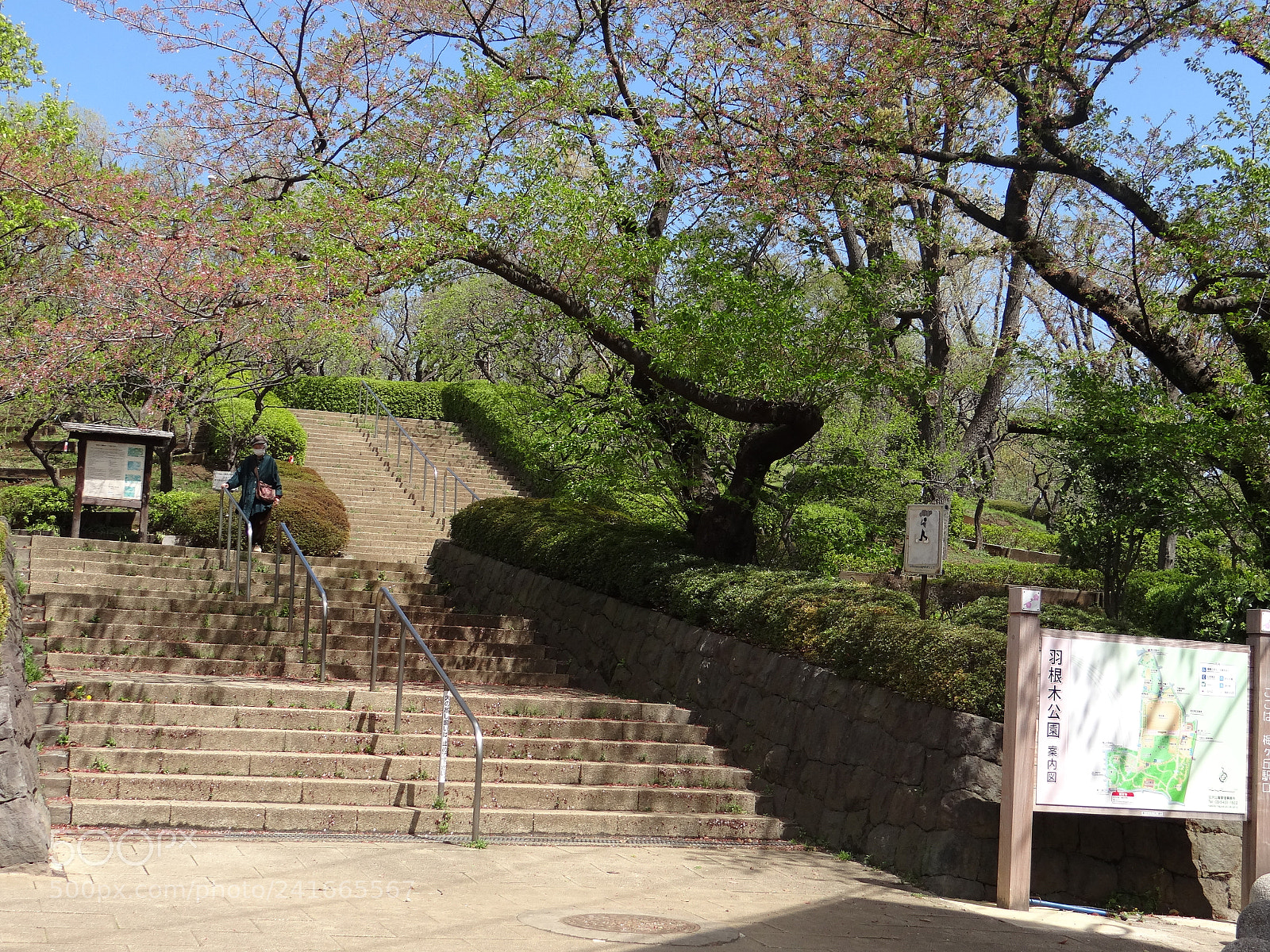 Sony DSC-HX200V sample photo. Dsc photography
